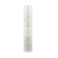 Paul Mitchell (Пол Митчелл)   Увлажняющий спрей для объема волос   AWG Hydromist Blowout Spray 150 мл 